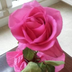 Meet your Posher, Qaadira